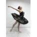 Black swan